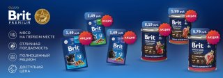 Brit Premium!
